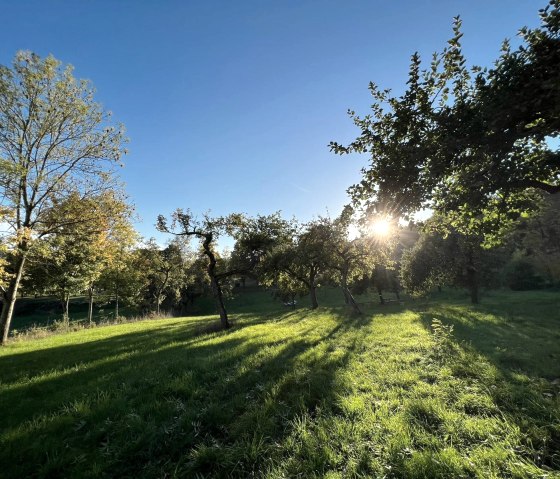 Naschgarten Irrel - Orchard meadow, © Felsenland Südeifel Tourismus, Anna Carina Krebs