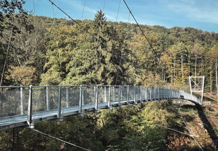 Hängebrücke Irreler Wasserfälle, © Felsenland Südeifel Tourismus GmbH, Anna Carina Krebs