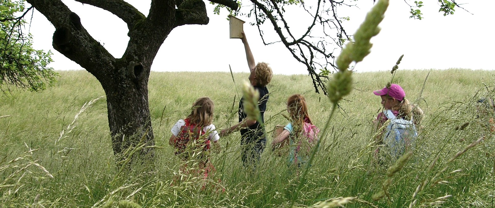 Schülerinnen und Schüler erkunden eine Streuobstwiese, © Felsenland Südeifel Tourismus GmbH