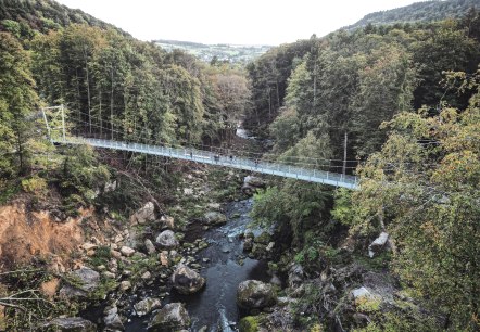 Hängebrücke aus der Vogelperspektive, © Felsenland Südeifel Tourismus GmbH, Tim Winhuysen