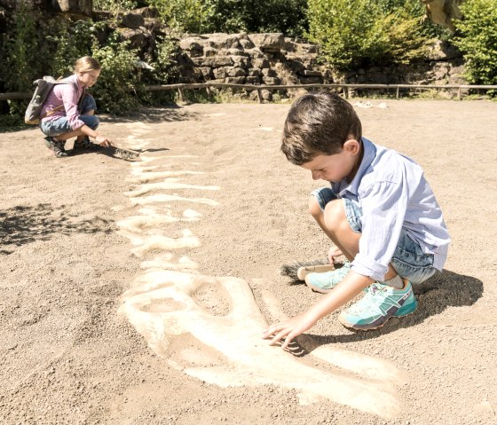 Ausgrabung eines Dinosaurierskeletts, © Felsenland Südeifel Tourismus GmbH