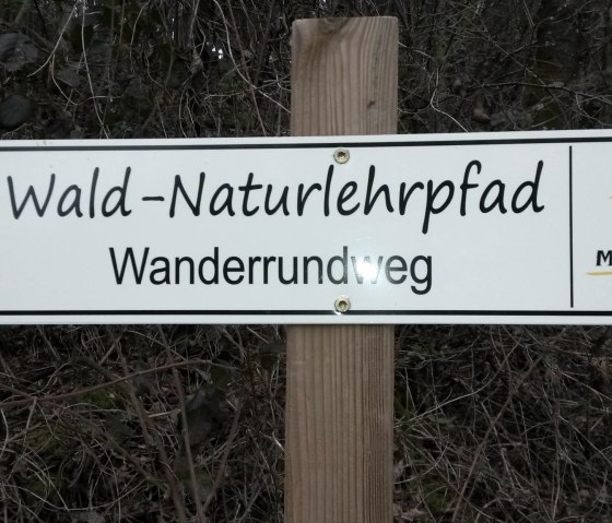 zum-wald-und-naturlehrpfad, © Eifelverein Mettendorf-Sinspelt