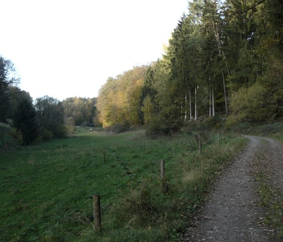 Talweg im Alsbachtal, © Felsenland Südeifel Tourismus GmbH, Christian Calonec-Rauchfuss