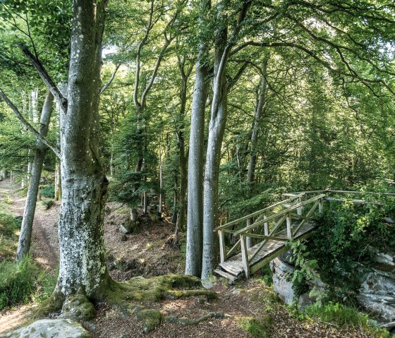 Steg zum Felsen neben der Schankweiler Klause, © Eifel Tourismus GmbH / Dominik Ketz