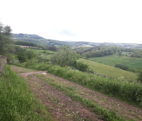 Weite Blicke bis nach Luxembourg hinüber, © Felsenland Südeifel Tourismus, Natalie Mainz