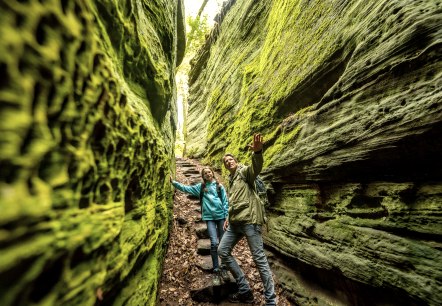 Grüne-Hölle-Tour Bollendorf, © Eifel Tourismus GmbH, Dominik Ketz