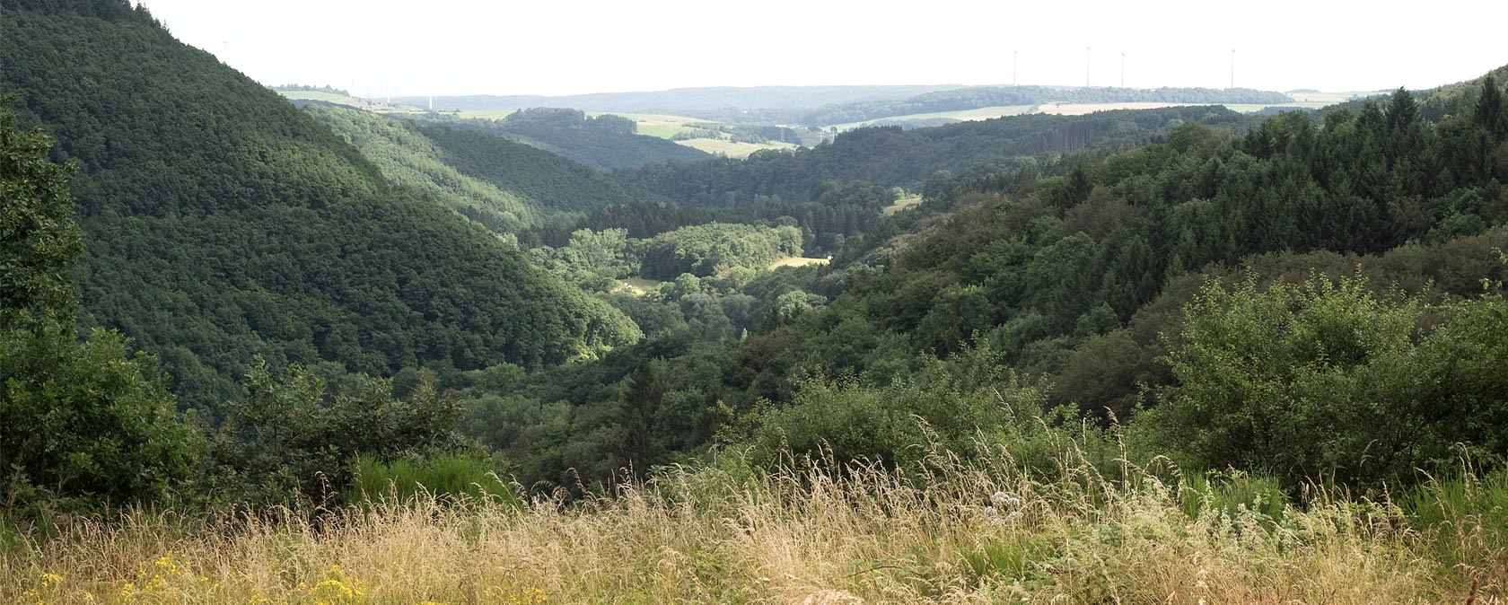 Blick übers Alsbachtal, © V. Teuschler