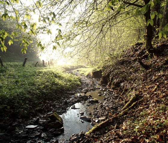 Wallfährte Weidingen, Bächlein, © Naturpark Südeifel, Volker Teuschler