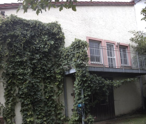 Balcony and hop vines