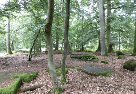 Die sogenannten Kiesgräber - römische Brandgräber, © Felsenland Südeifel Tourismus GmbH