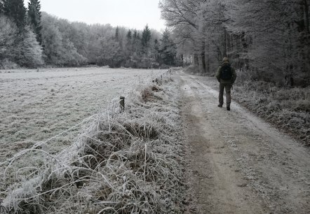 Winterlandschaft, © Felsenland Südeifel Tourismus GmbH, Elke Wagner