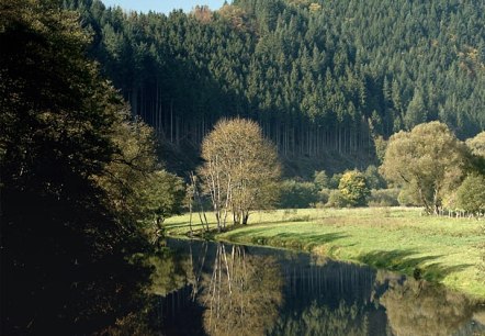 Die Our bei Obereisenbach, © V. Teuschler