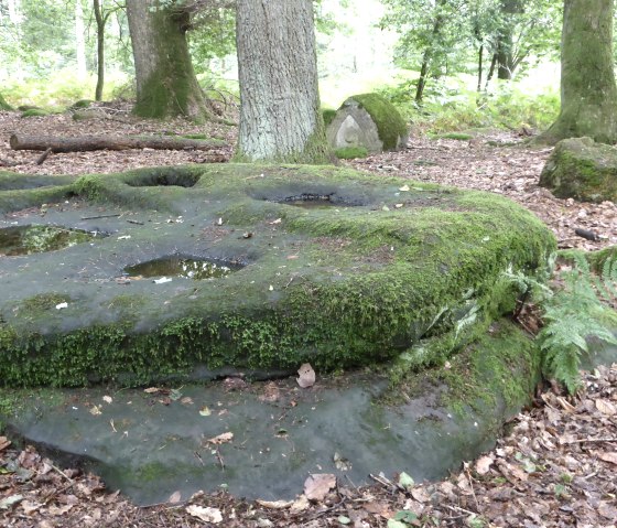 Gallorömische Kiesgräber bei Bollendorf: Vertiefungen im Fels zur Aufnahme von Urnen, © Elke Wagner, Felsenland Südeifel Tourismus GmbH