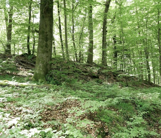 der-wall-der-niederburg, © Elke Wagner, Felsenland Südeifel Tourismus GmbH