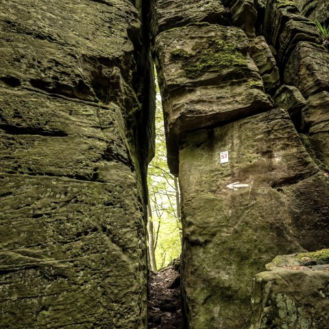 Teufelsloch, © Eifel Tourismus, Dominik Ketz