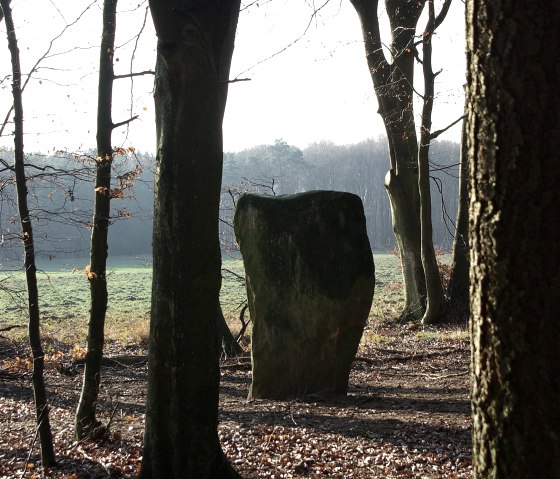 Wintersonne - Druidenstein bei Bollendorf, © Elke Wagner