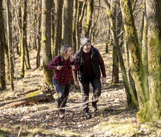 Durch urige Wälder streichen beim Wandern auf der Nat'Our Route 1, © Eifel Tourismus GmbH, D. Ketz