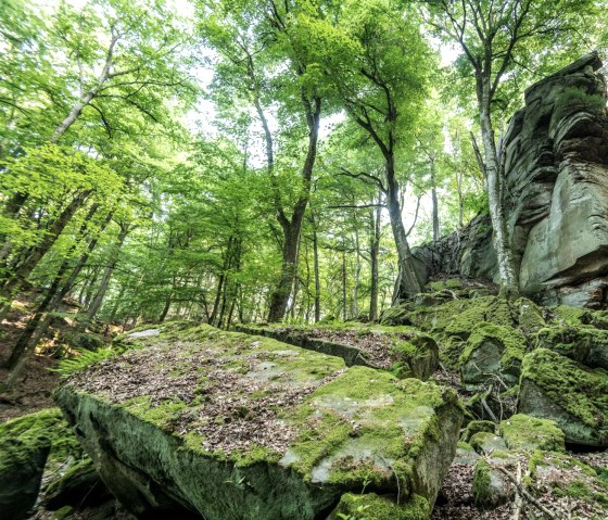 Felsformation Predigtstuhl im NaturWanderPark delux, © Eifel Tourismus GmbH, D. Ketz