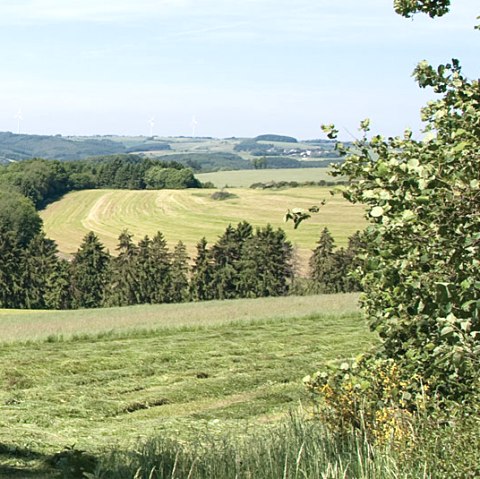 Eifelhöhen, © V. Teuschler