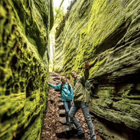 Grüne-Hölle-Tour Bollendorf, © Eifel Tourismus GmbH, Dominik Ketz