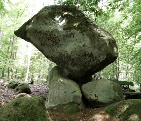Der Fels wird zu Recht auch "Bärenstein" genannt, © Felsenland Südeifel Tourismus GmbH, Elke Wagner