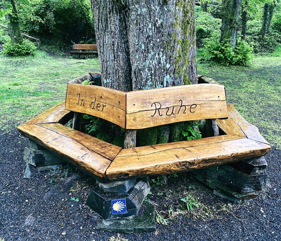 Banc de repos, © Felsenland Südeifel Tourismus GmbH / Anna Carina Krebs