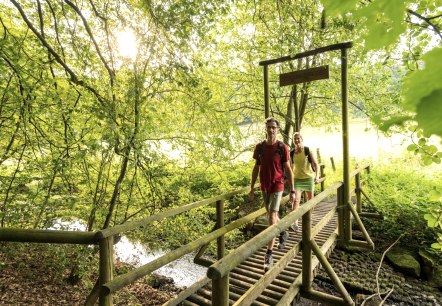 Bach-Pfad im NaturWanderPark delux, Ernst-Brücke über den Alfbach, © Eifel Tourismus GmbH, D. Ketz