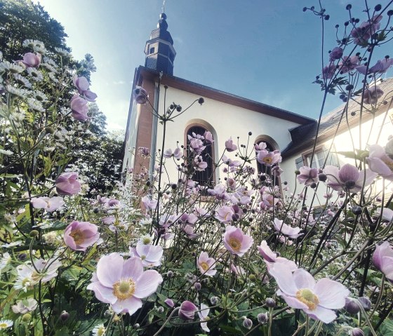 Schankweiler Klause in summer, © Felsenland Südeifel Tourismus GmbH, Anna Carina Krebs