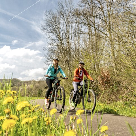 Enz-Radweg, © Eifel Tourismus GmbH, Dominik Ketz