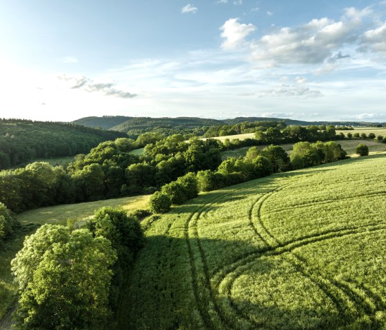 Naturwanderpark Delux, Nat'Our Route 6, Kammerwald, © Eifel Tourismus, Dominik Ketz