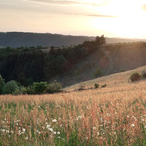 Morgensonne über dem Ourtal, © V. Teuschler