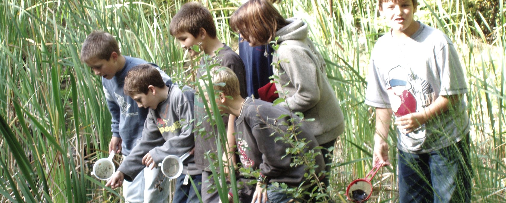 Schulkinder erkunden einen Weiher während eines Naturerlebnisprogramms des Naturparkzentrums Teufelsschlucht in Ernzen , © Felsenland Südeifel Tourismus GmbH