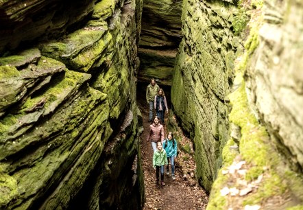 Durch die Grüne Hölle bei Bollendorf, © Eifel Tourismus GmbH, Dominik Ketz