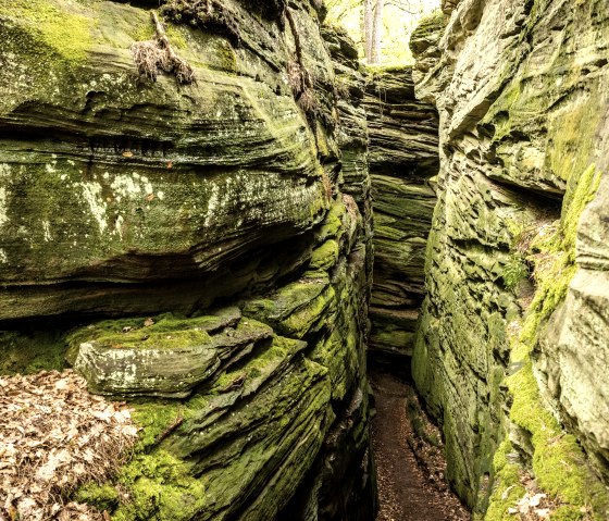 Grüne hölle, © Eifel Tourismus GmbH, Dominik Ketz