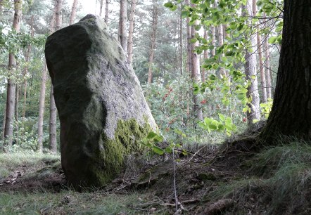 The Langenstein near Holsthum, © Felsenland Südeifel Tourismus GmbH