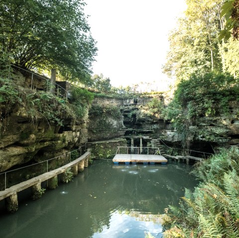 Felsenweiher, © Eifel Tourismus GmbH, Dominik Ketz