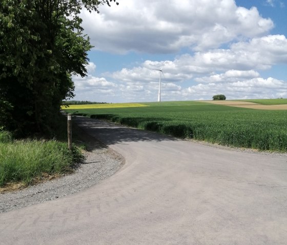 Weite Felder begleiten uns einen Großteil des Weges., © Felsenland Südeifel Tourismus, Antje Ackermann