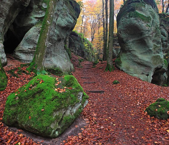 Felsenweg 1 - Weilerbach - Hohllay, © Naturpark Südeifel, C. Schleder