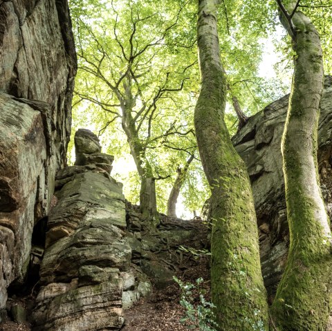 Felsen bei der Mandrack Passage im NaturWanderPark delux, © Eifel Tourismus GmbH, D. Ketz