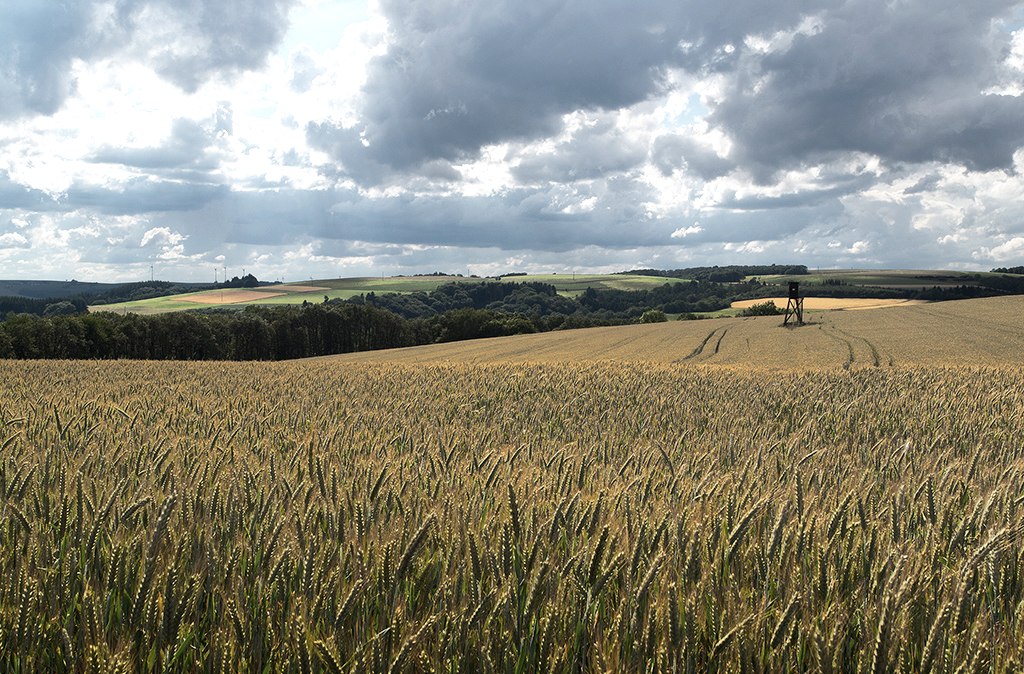 Wallfährte Weidingen, © Naturpark Südeifel, Volker Teuschler