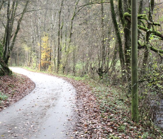 Im Radenbachtal, © Felsenland Südeifel Tourismus GmbH, Natalie Mainz