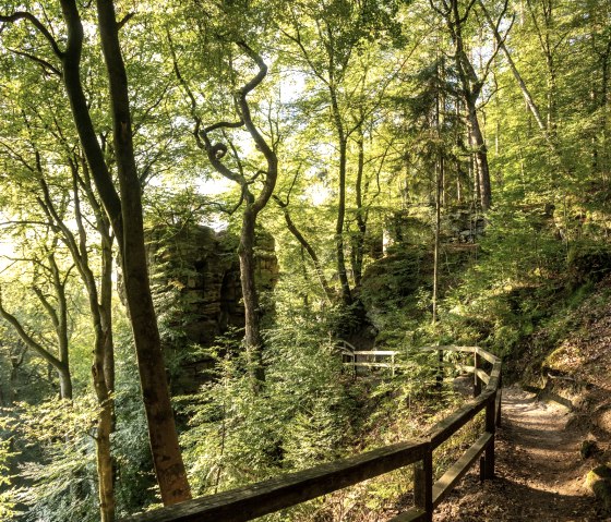 felsenpfad-nahe-der-teufelsschlucht_dominik-ketz, © Dominik Ketz