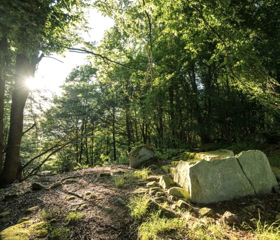 Steinkistengrab am Klausnerweg im NaturWanderpark delux, © Eifel Tourismus GmbH, D. Ketz