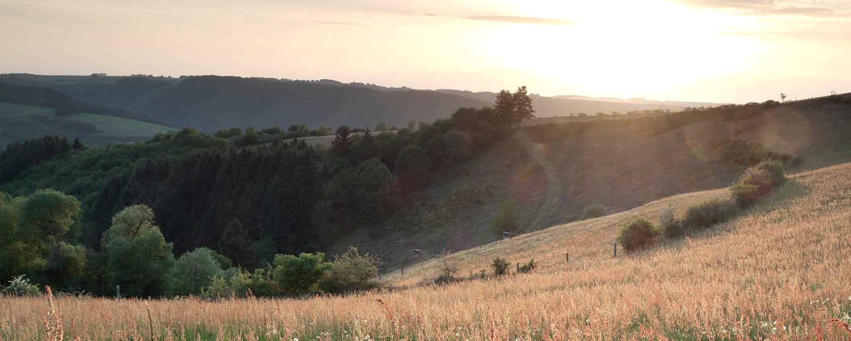 Morgensonne über dem Ourtal, © V. Teuschler