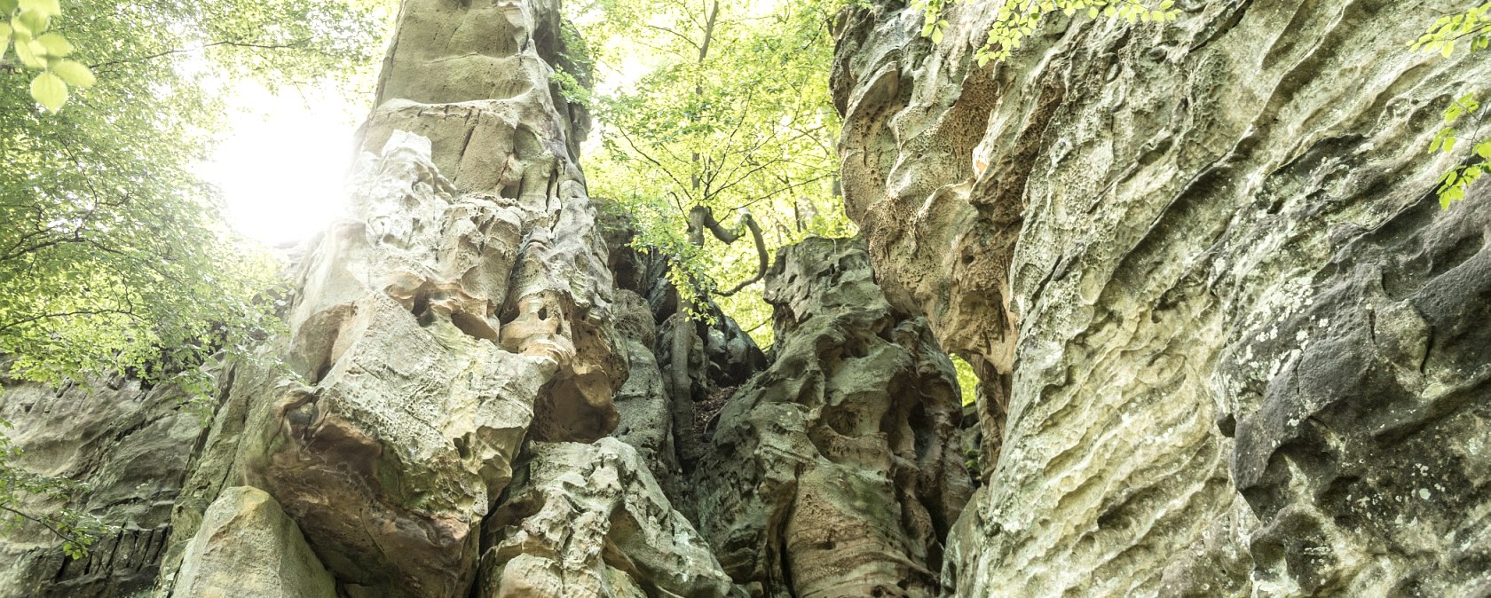 Felsmassiv in der Nähe der Teufelsschlucht im Felsenland Südeifel, © Rheinland-Pfalz Tourismus GmbH / D. Ketz