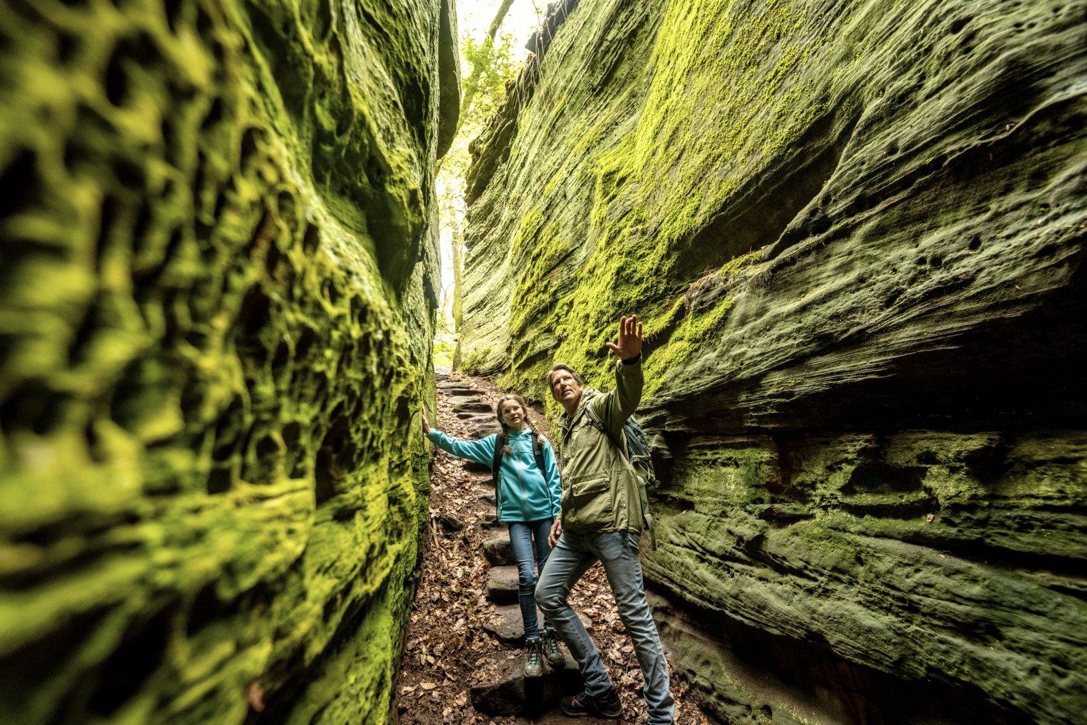 Grüne-Hölle-Tour Bollendorf, © Eifel Tourismus GmbH, Dominik Ketz