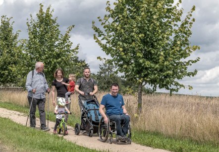 Komfortweg Ammeldingen bei Neuerburg, © Naturpark Südeifel/Thomas Urbany