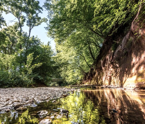 Roter Puhl mit Prall- und Gleithang, © Eifel Tourismus GmbH