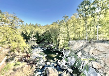 Blick von der Hängebrücke auf die Stromschnellen der Prüm, © Naturpark Südeifel, Ansgar Dondelinger