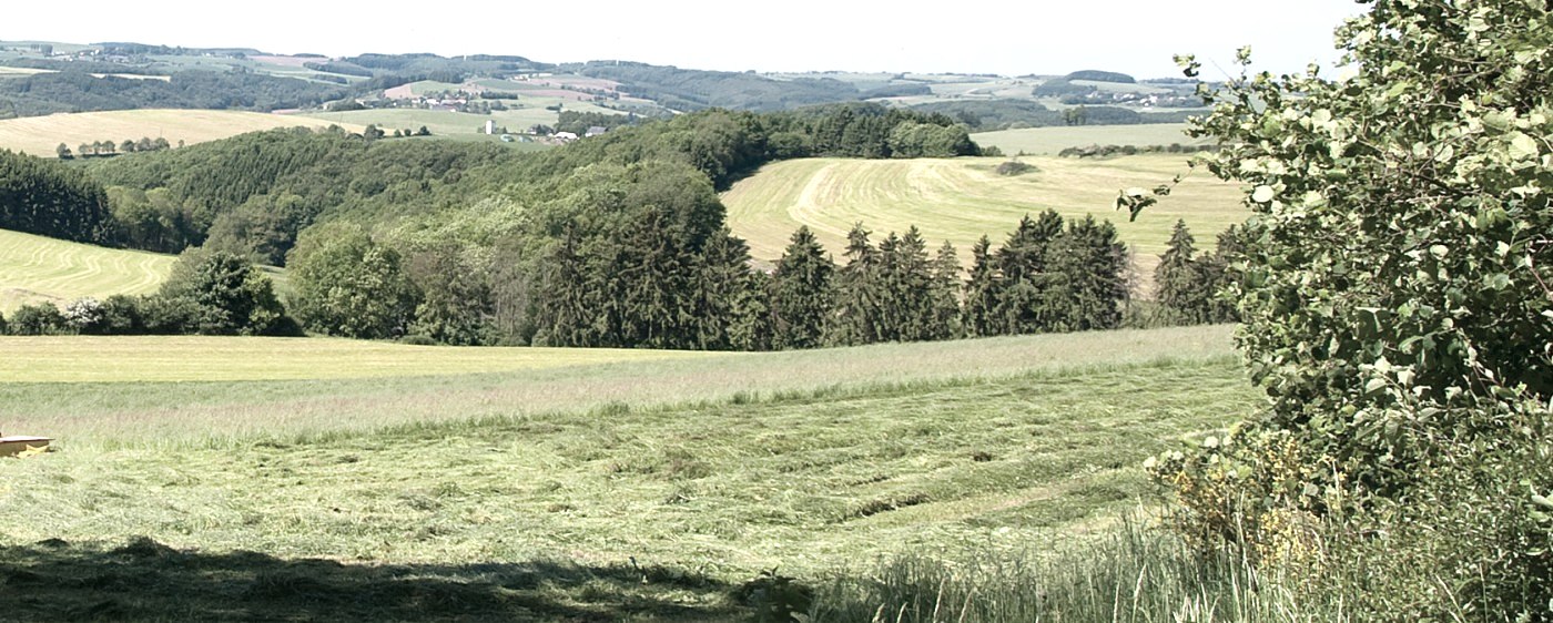 Naturpark Südeifel, © Naturpark Südeifel, Volker Teuschler